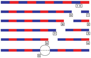 Ludovica-capozzi-quaderni6-11-aste-numerazione4